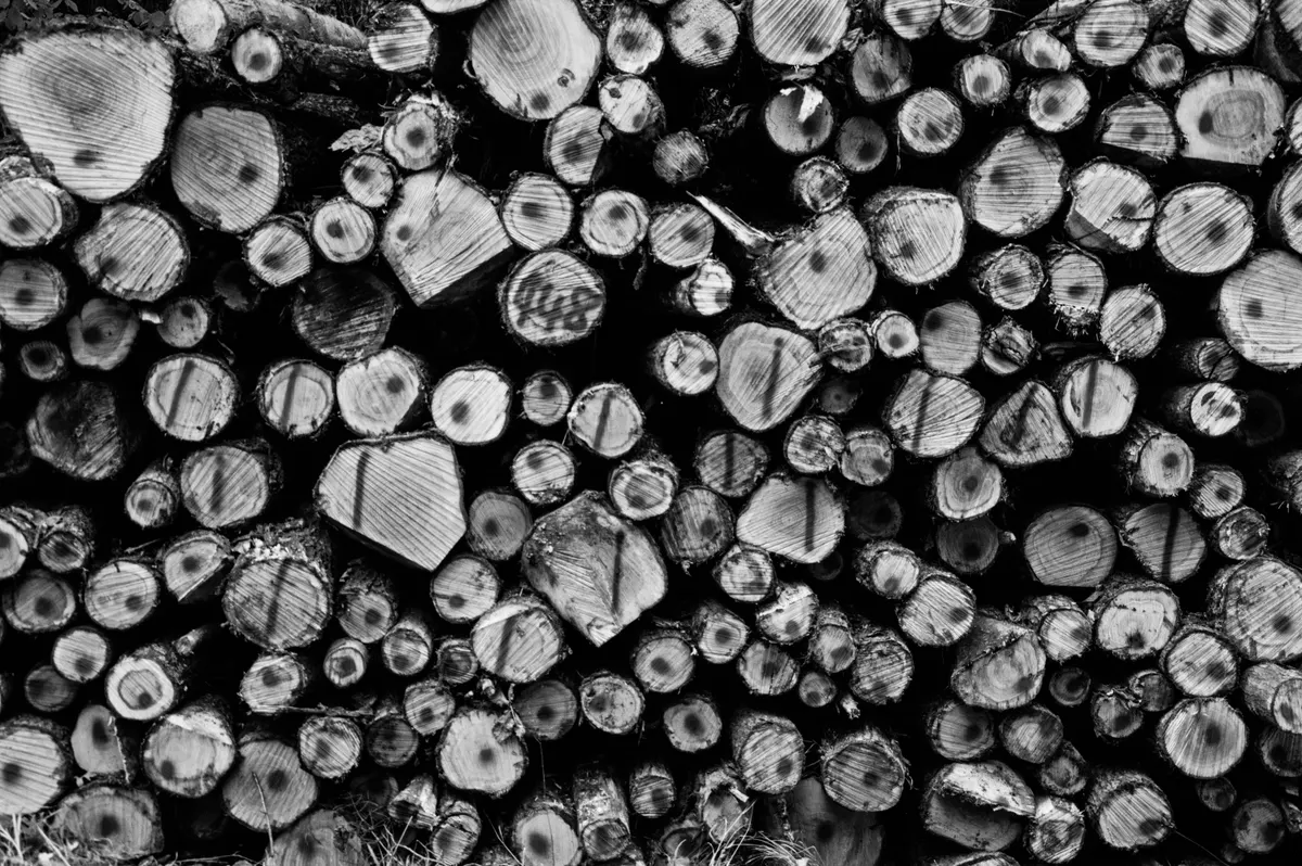 Raw Materials